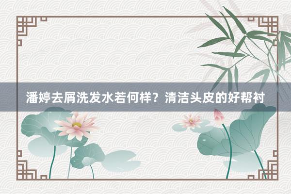 潘婷去屑洗发水若何样？清洁头皮的好帮衬