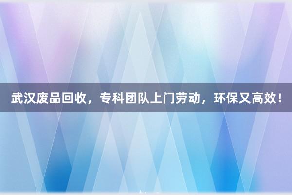 武汉废品回收，专科团队上门劳动，环保又高效！