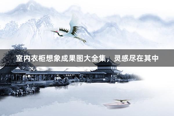 室内衣柜想象成果图大全集，灵感尽在其中
